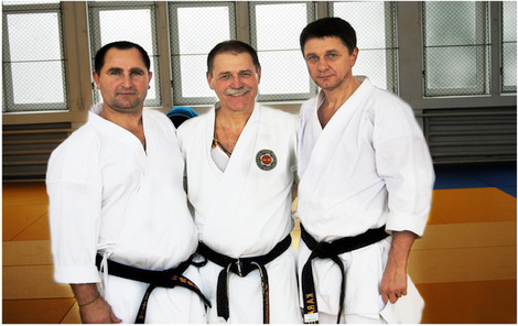 karate botosani