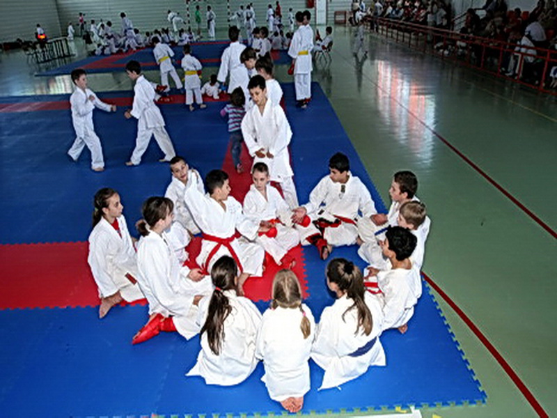 karate botosani